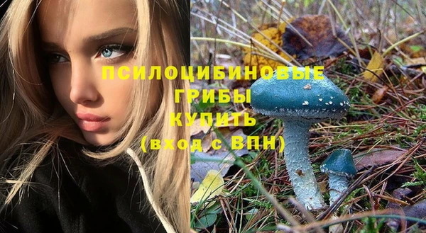 мдпв Красноперекопск