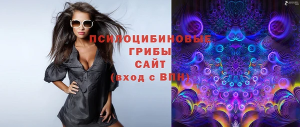 мдпв Красноперекопск