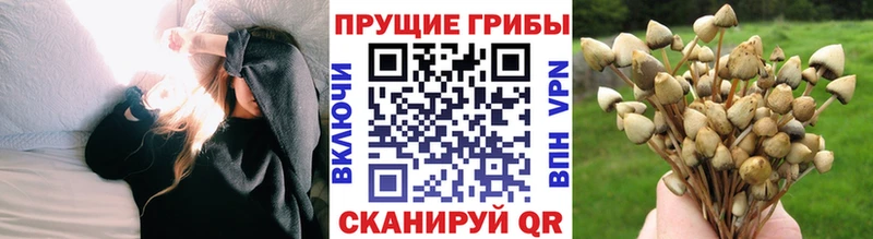 Купить где  Сыктывкар  Псилоцибиновые грибы ЛСД 